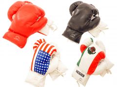 12oz Boxing Gloves in 4 Different Styles